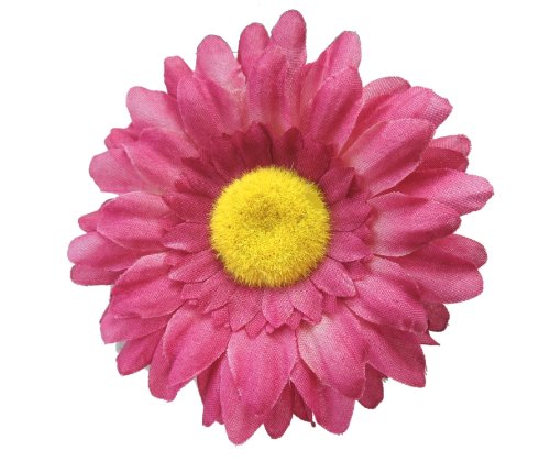 Algopix Similar Product 16 - Cuteque International Inc 6 pieces of