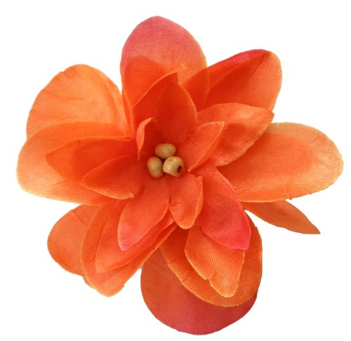 Algopix Similar Product 11 - Cuteque International Inc 6 pieces of