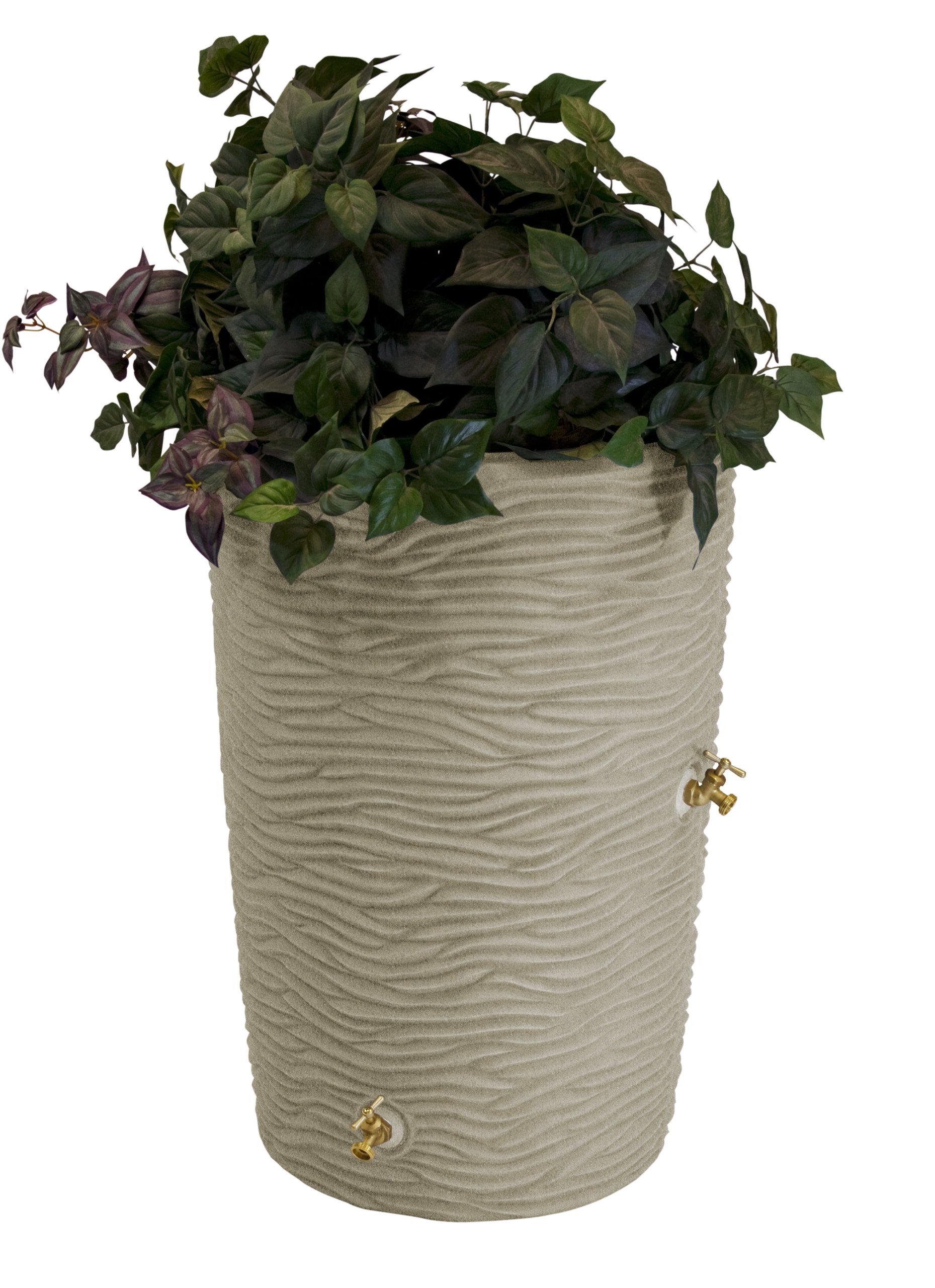 Algopix Similar Product 1 - Impressions Palm 50 Gallon Rain Saver 