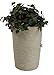 Algopix Similar Product 18 - Impressions Palm 50 Gallon Rain Saver 