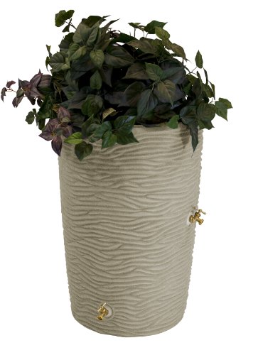 Algopix Similar Product 5 - Impressions Palm 50 Gallon Rain Saver 