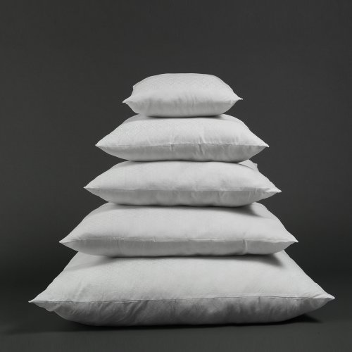 Algopix Similar Product 15 - Premium Poly Filled Pillow Inserts For