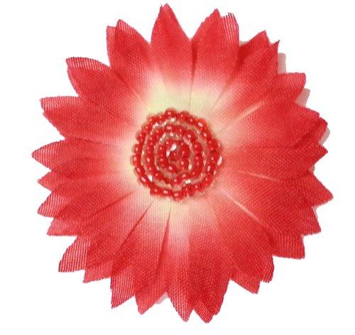 Algopix Similar Product 19 - Cuteque International 12Piece Daisy