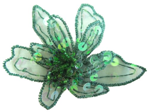 Algopix Similar Product 5 - Cuteque International 6Piece Organza