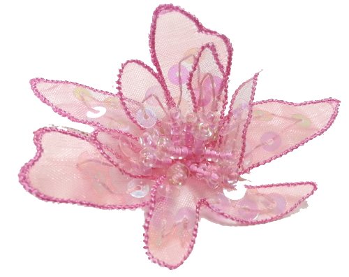 Algopix Similar Product 10 - Cuteque International 6Piece Organza