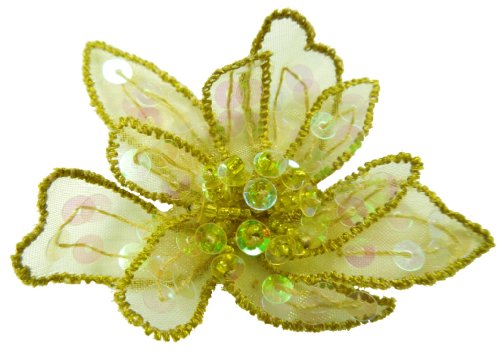 Algopix Similar Product 13 - Cuteque International 6Piece Organza