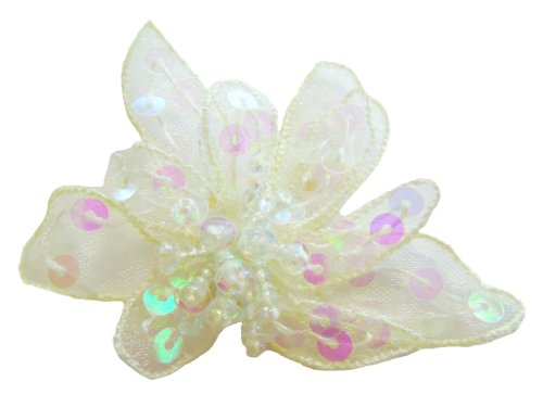 Algopix Similar Product 9 - Cuteque International 6Piece Organza