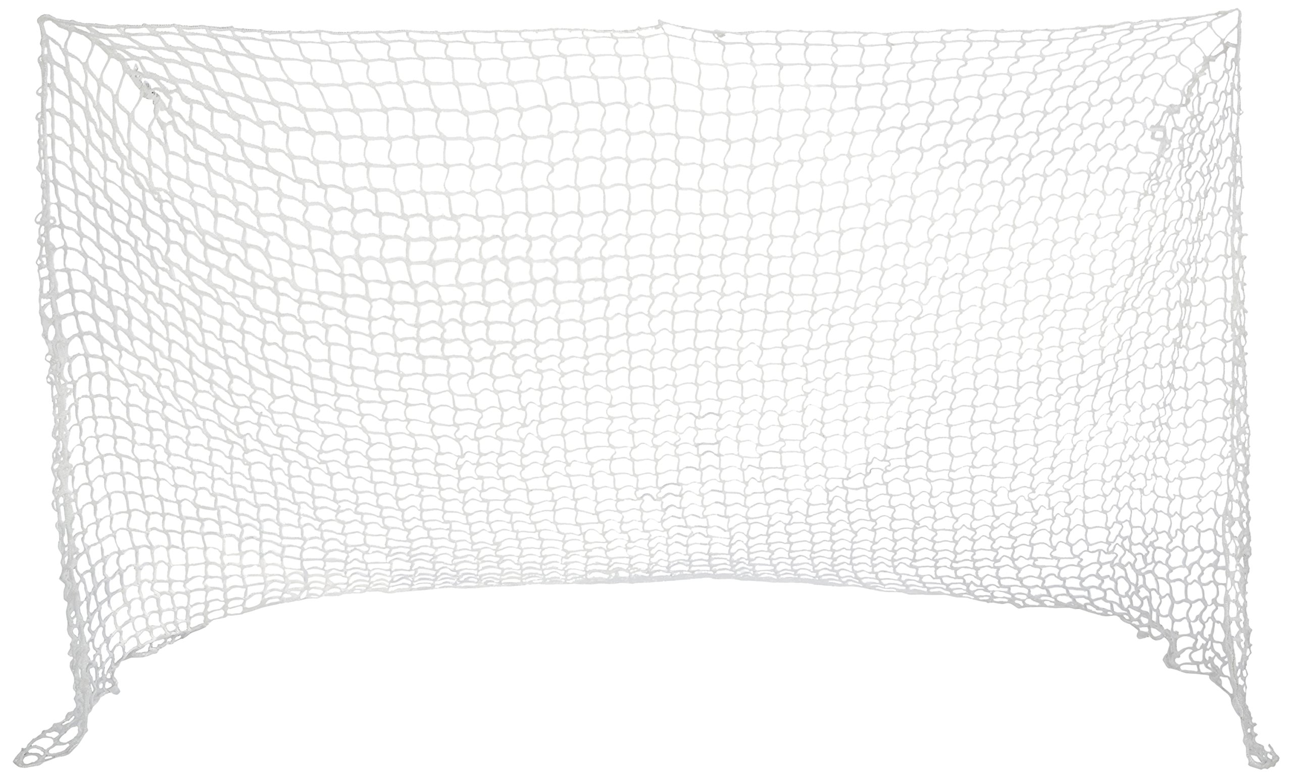 Algopix Similar Product 1 - EZGoal Hockey Replacement Net 4 x