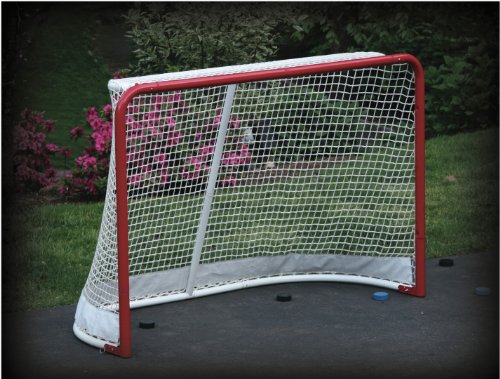 Algopix Similar Product 7 - EZGoal 69115 Hockey Replacement Net