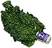Algopix Similar Product 7 - Organic Green Swiss Chard, One Bunch