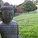 Algopix Similar Product 9 - Notes on Spirit Rock Visit to Monday