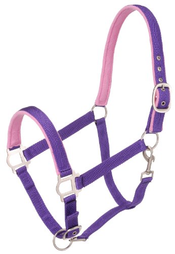 Algopix Similar Product 2 - Tough 1 Nylon Padded Halter with Satin