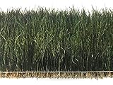Algopix Similar Product 2 - 3 Inch Strip 57 Natural Iridescent