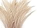 Algopix Similar Product 10 - 5 Pieces Ivory Bleached Dyed