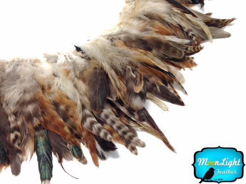 Algopix Similar Product 18 - Rooster Feathers Natural Black and