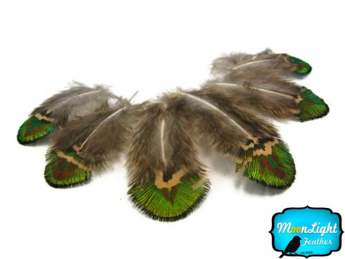 Algopix Similar Product 8 - Moonlight Feather 20 Pieces Green