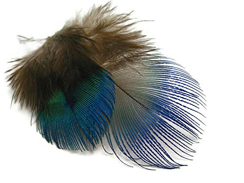 Algopix Similar Product 6 - Moonlight Feather 100 Pieces