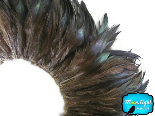 Algopix Similar Product 9 - Rooster Feathers Natural Black Rooster
