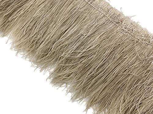 Algopix Similar Product 20 - 2 Inches Bleached Ivory Peacock