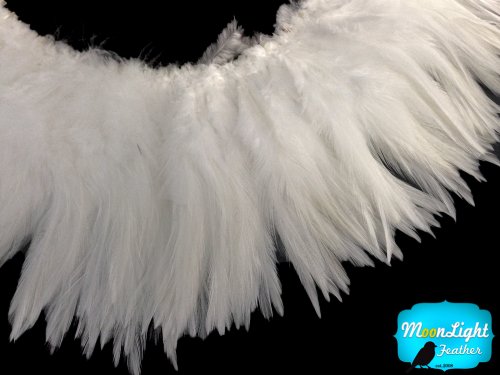 Algopix Similar Product 15 - Moonlight Feather 4 Inch Strip