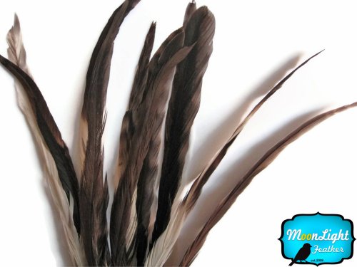 Algopix Similar Product 13 - Rooster Tails Natural Chinchilla Coque