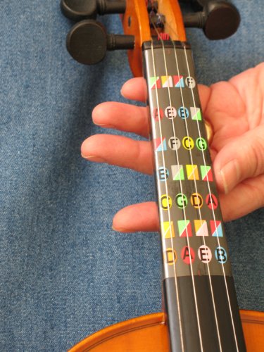 Algopix Similar Product 18 - Fretless Finger Guides 44 Beginner