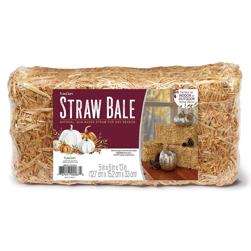 Algopix Similar Product 10 - FloraCraft Decorative Straw Bale 5 Inch