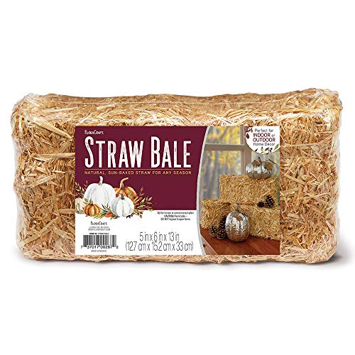 Algopix Similar Product 10 - FloraCraft Decorative Straw Bale 5 Inch