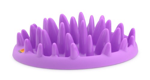 Algopix Similar Product 13 - The Company of Animals CATCH