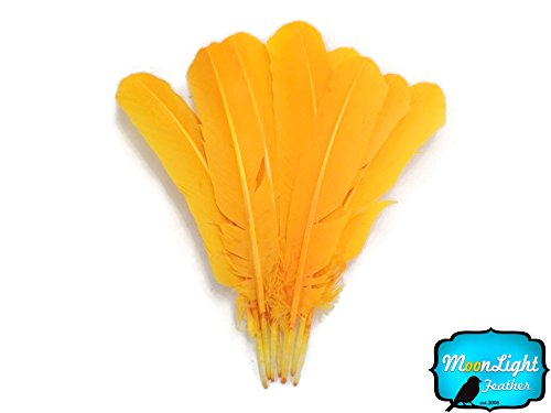 Algopix Similar Product 18 - Feathers Turkey Feathers Gold Turkey