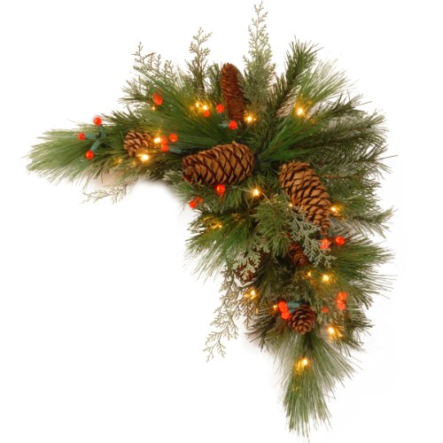 Algopix Similar Product 3 - National Tree 30 Inch Decorative