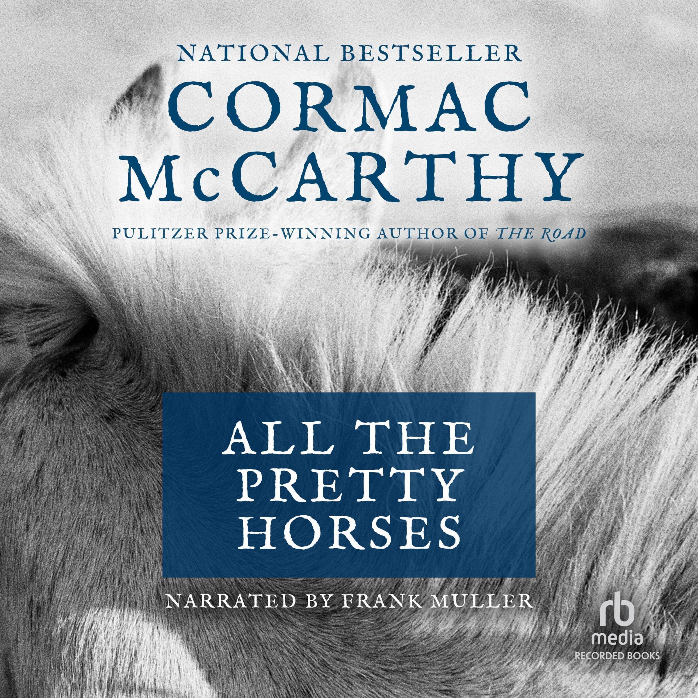 Algopix Similar Product 20 - All the Pretty Horses The Border