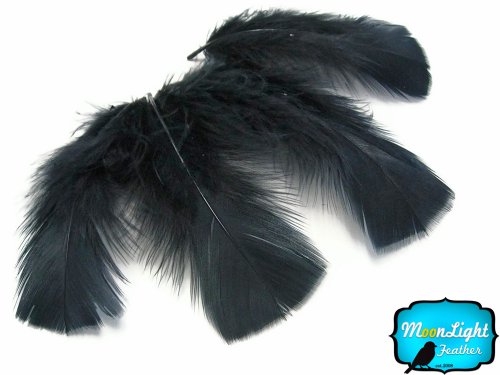 Algopix Similar Product 5 - Turkey Feathers Turkey Plumage  Black
