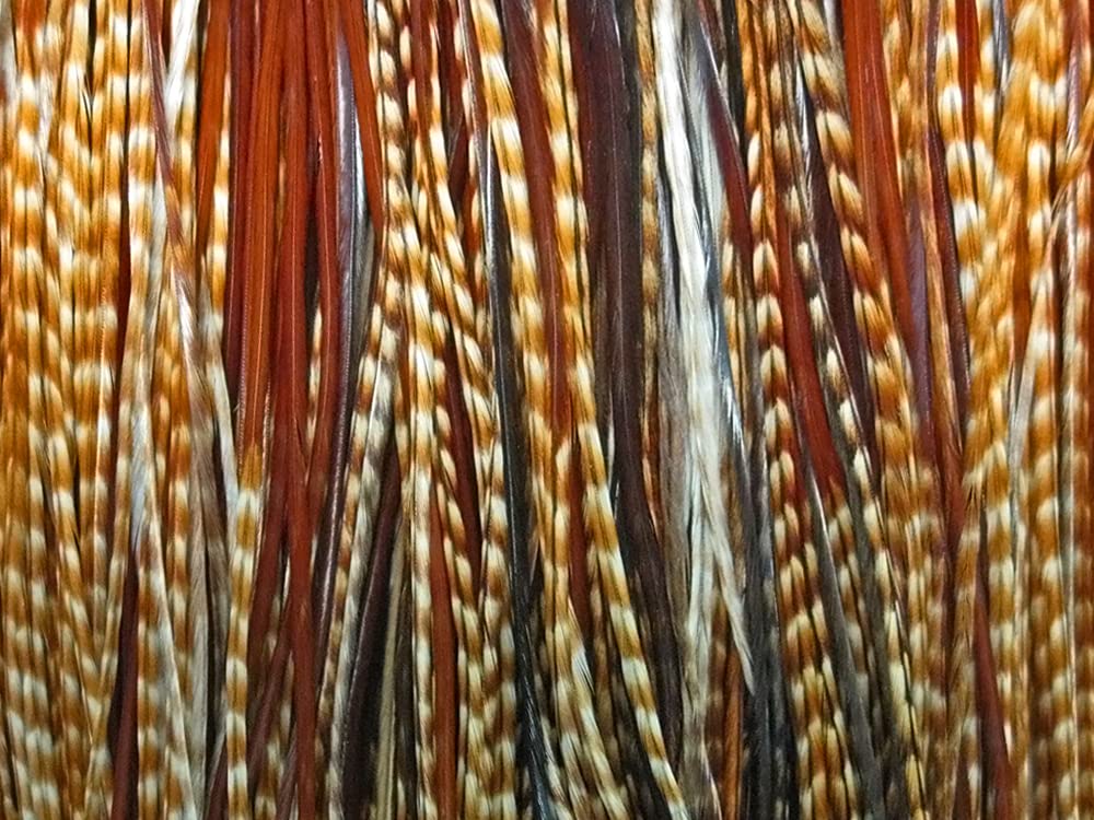 Algopix Similar Product 15 - 50 Pieces  Unique Ginger Thin Long