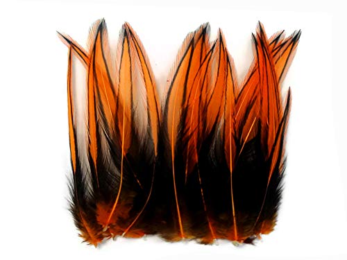Algopix Similar Product 11 - 10 Pieces  Orange Laced 47 Long