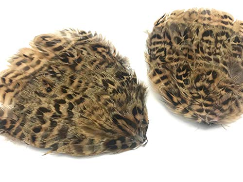 Algopix Similar Product 16 - 1 Piece  Natural Brown Hungarian