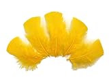 Algopix Similar Product 9 - 14 Lb  Golden Yellow Dyed Turkey