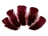 Algopix Similar Product 7 - 14 Lb  Burgundy Dyed Turkey TBase