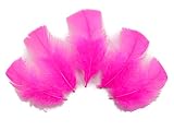 Algopix Similar Product 10 - 14 Lb  Hot Pink Dyed Turkey TBase