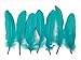 Algopix Similar Product 11 - Moonlight Feather  1 Pack  Peacock