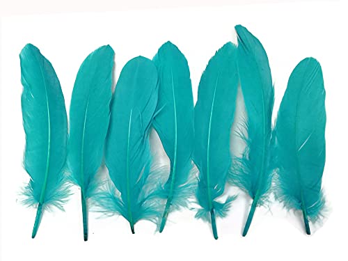 Algopix Similar Product 12 - Moonlight Feather 1 Pack Peacock