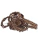Algopix Similar Product 17 - Group of 12 Natural Dried Grapevine