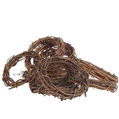 Algopix Similar Product 10 - Group of 12 Natural Dried Grapevine