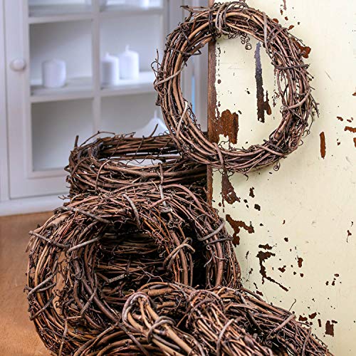 Algopix Similar Product 16 - Group of 12 Natural Dried Grapevine