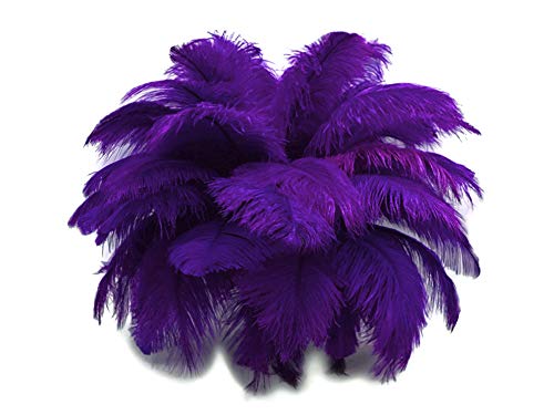 Algopix Similar Product 14 - 12 Lb  1719 Purple Large Ostrich
