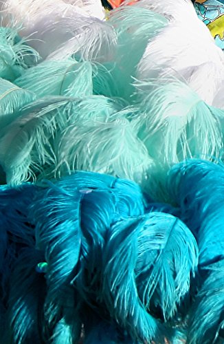 Algopix Similar Product 12 - Moonlight Feather  12 Lb  1824