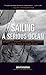 Algopix Similar Product 13 - Sailing a Serious Ocean CREATIVE MATH