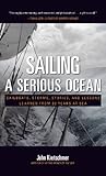 Algopix Similar Product 13 - Sailing a Serious Ocean CREATIVE MATH
