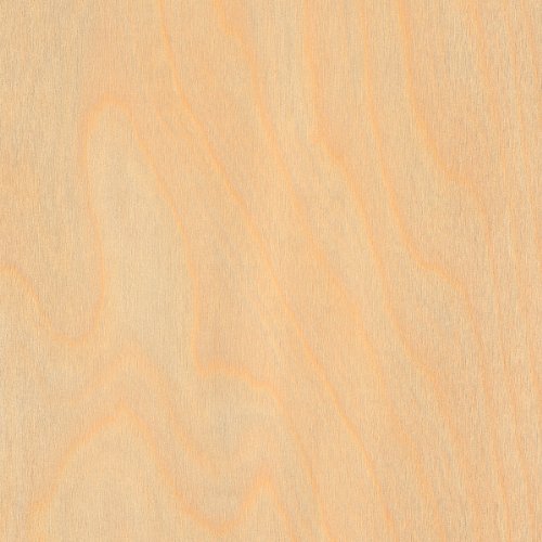 Algopix Similar Product 11 - Preglued Birch Edgebanding - 50' Roll