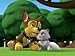 Algopix Similar Product 17 - Pups and the KittytastrophePups Save
